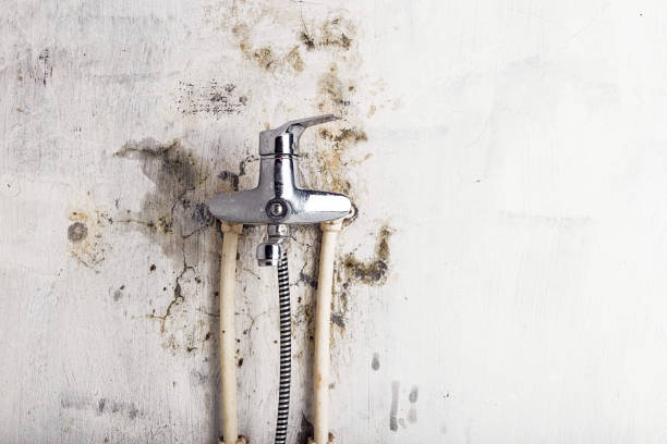 Best Water Damage Restoration  in Marysville, PA