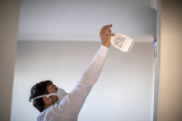 Best Crawl Space Mold Removal  in Marysville, PA