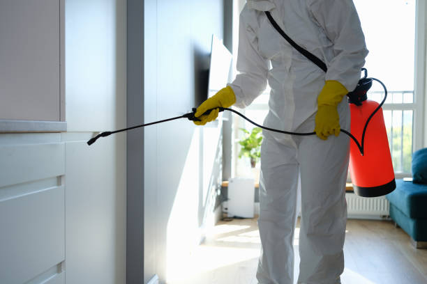Best Mold Cleaning Services  in Marysville, PA